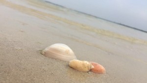 IMG_4501
