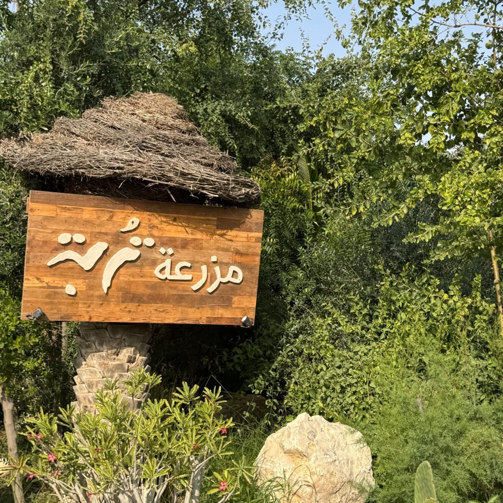 (العربية) زيارة مزرعة تربة