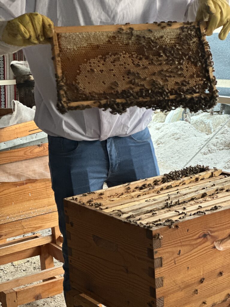 زيارة مشروع مناحل العسل