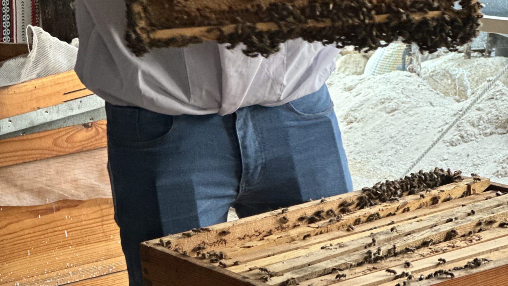 زيارة مشروع مناحل العسل